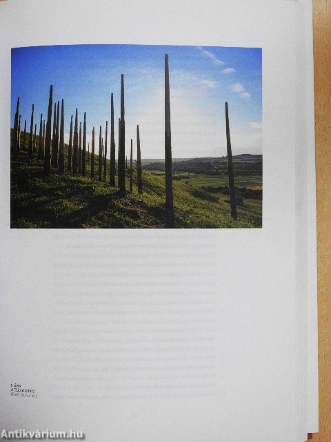 Múzeumcafé 2018/5. november-december