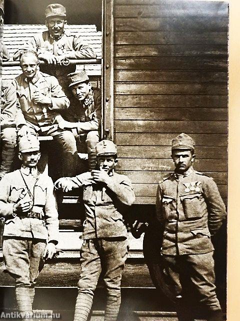 Kimegyek a doberdói harctérre