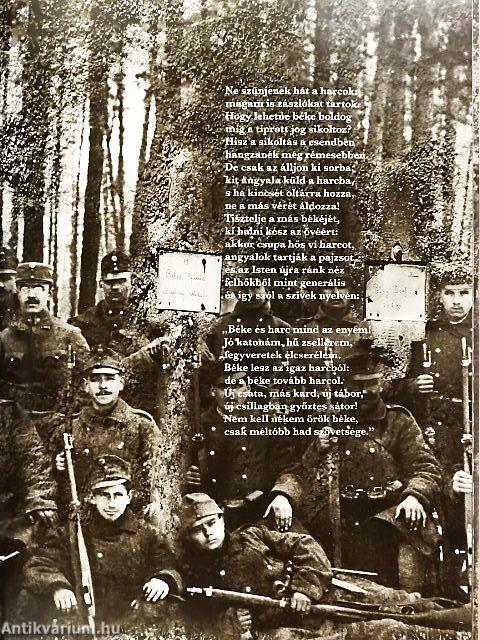 Kimegyek a doberdói harctérre