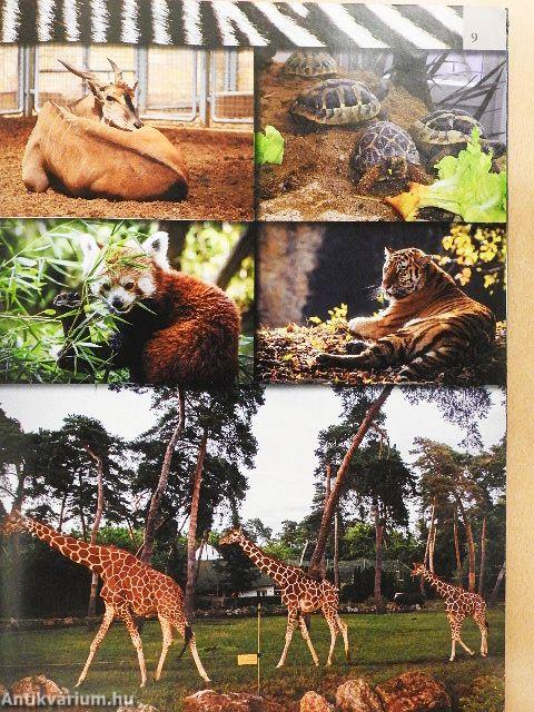 Vadasparkok Magyarországon