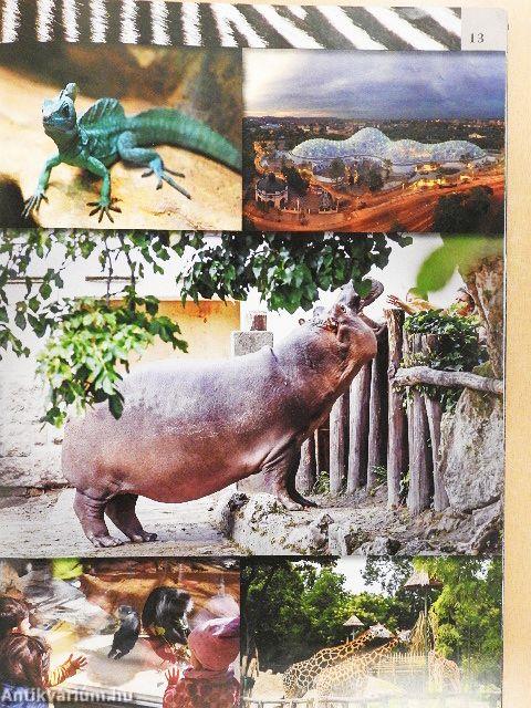 Vadasparkok Magyarországon