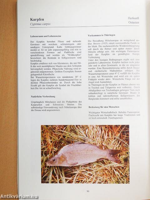 Fische in Thüringen