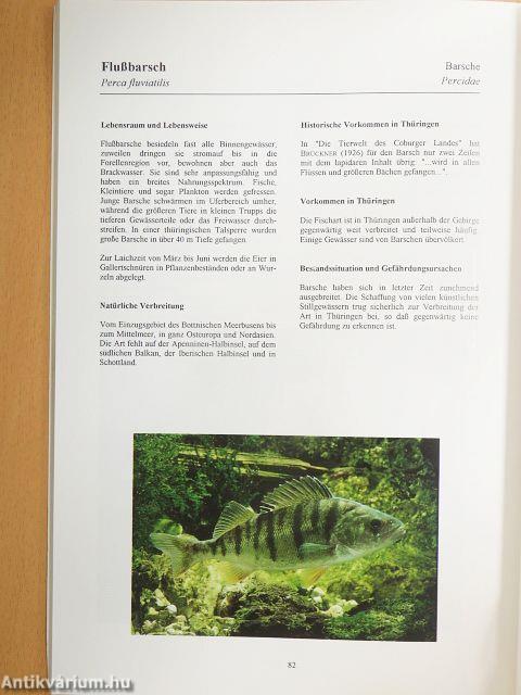 Fische in Thüringen