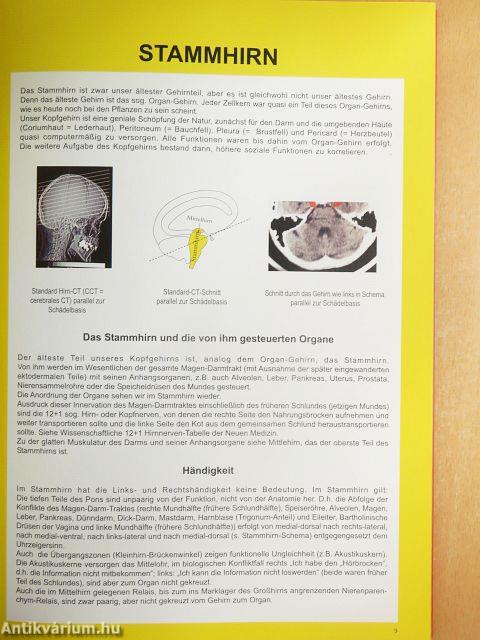 Wissenschaftliche Tabelle der Germanischen Neuen Medizin