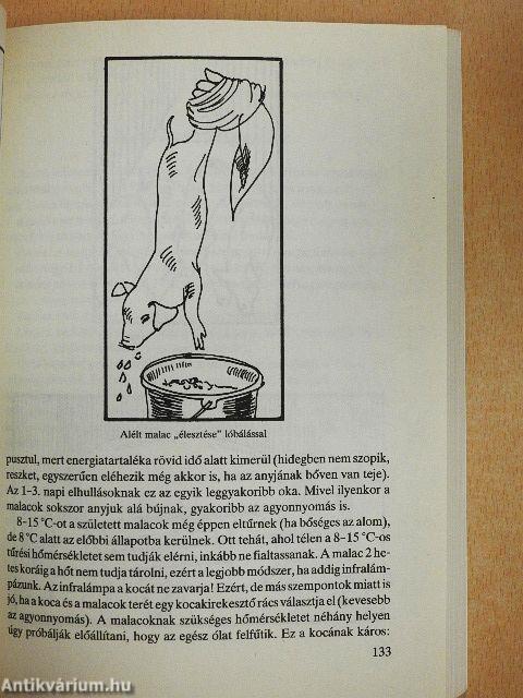 Hogyan óvjuk állataink egészségét?