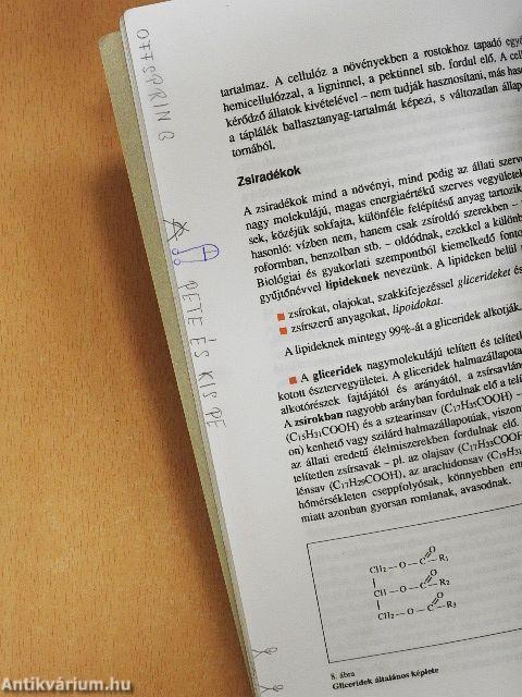 Élelmiszerismeret I.