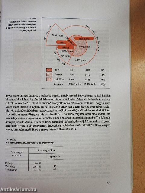 Élelmiszerismeret I.