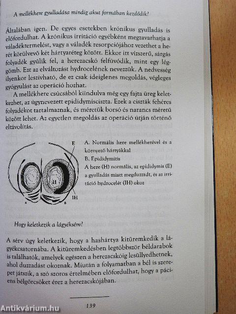 A szerelem ecsetje