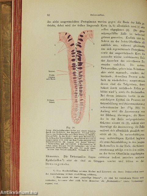 Lehrbuch der Histologie