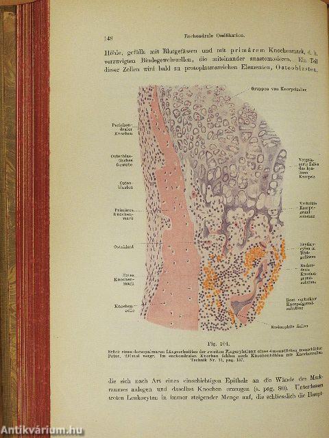 Lehrbuch der Histologie
