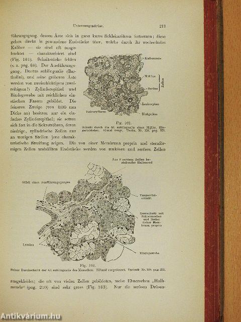Lehrbuch der Histologie