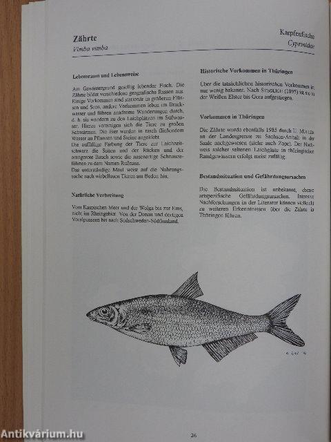 Fische in Thüringen