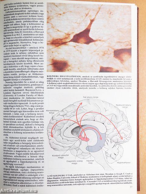 Tudomány 1985. szeptember-december 