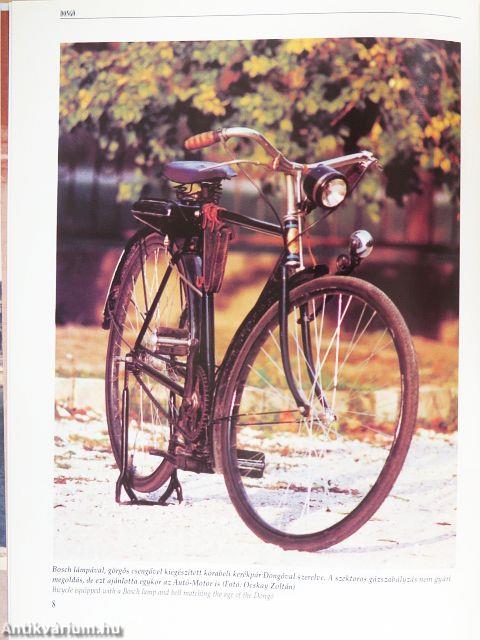 Dongó, Berva, Panni