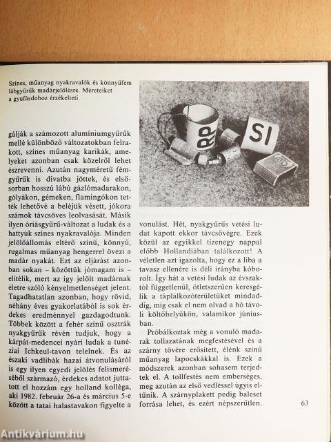 A nagy parancs