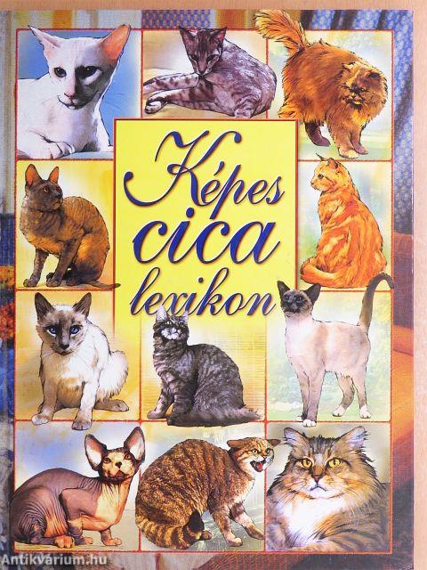 Képes cicalexikon