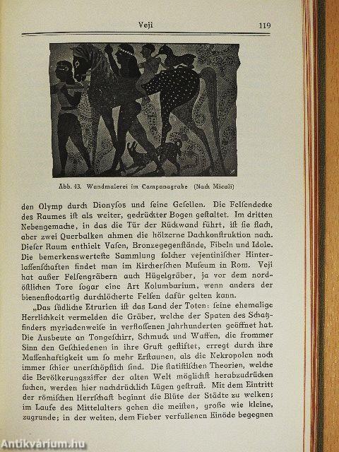 Die römische Campagna