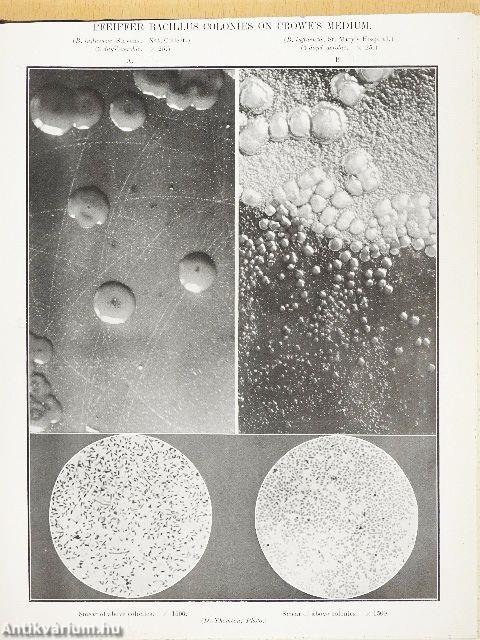 Annals of the Pickett-Thomson Research Laboratory IX.