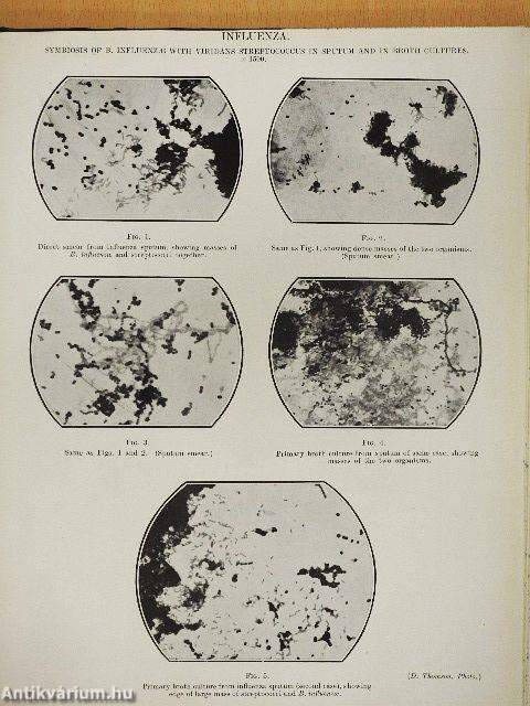 Annals of the Pickett-Thomson Research Laboratory IX.
