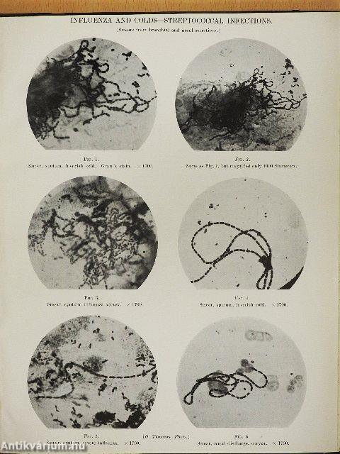 Annals of the Pickett-Thomson Research Laboratory IX.