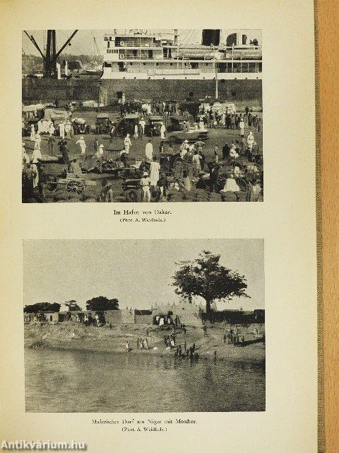 Als Tiersammler im schwarzen Erdteil