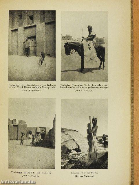 Als Tiersammler im schwarzen Erdteil