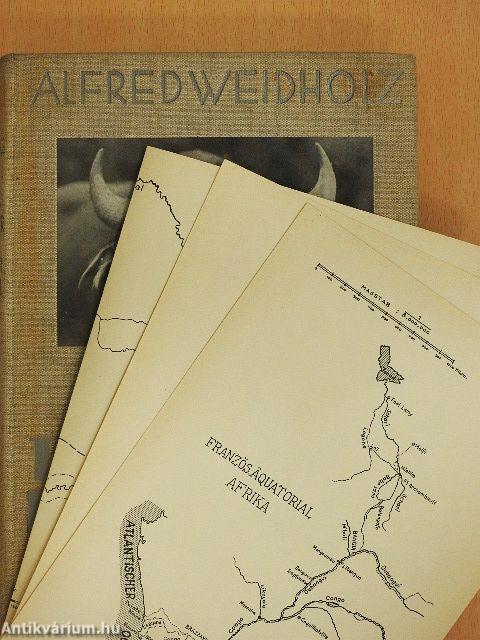 Als Tiersammler im schwarzen Erdteil