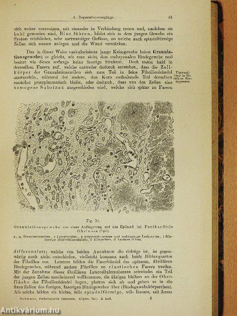 Grundriss der Pathologischen Anatomie