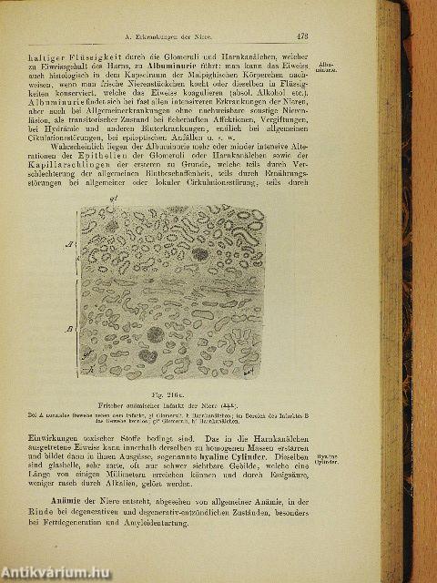 Grundriss der Pathologischen Anatomie