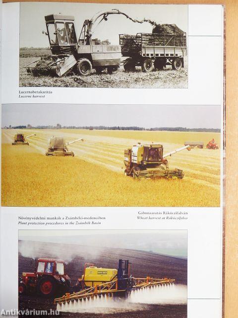 Magyarország mezőgazdasága országos kiállításokon