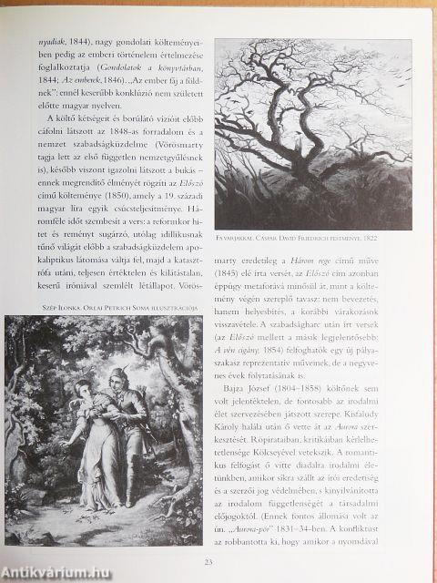 Művek, pályák, nemzedékek