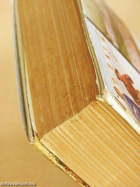 Négy hágó sziklavadonában