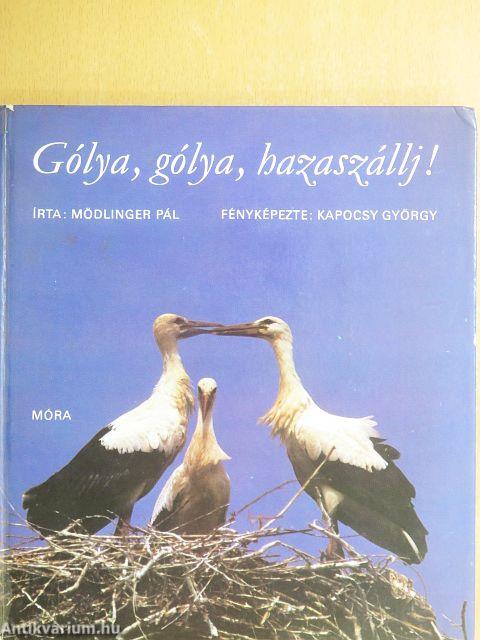 Gólya, gólya, hazaszállj!
