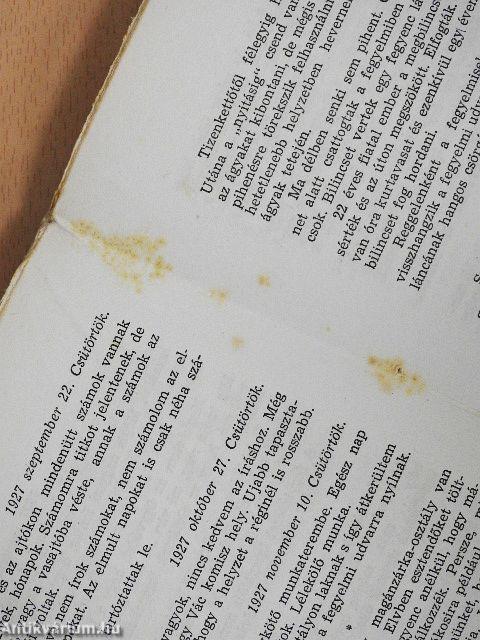 Tizenhat év fegyházban