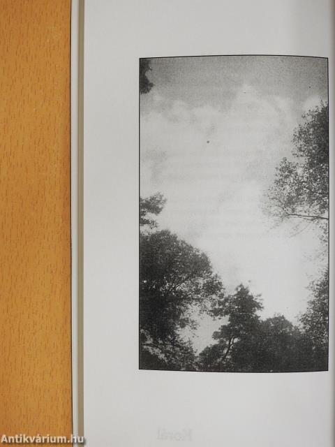 Tegnapok holnapjai (dedikált példány)