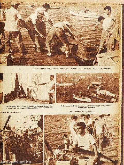 Magyar horgász 1963. január-december