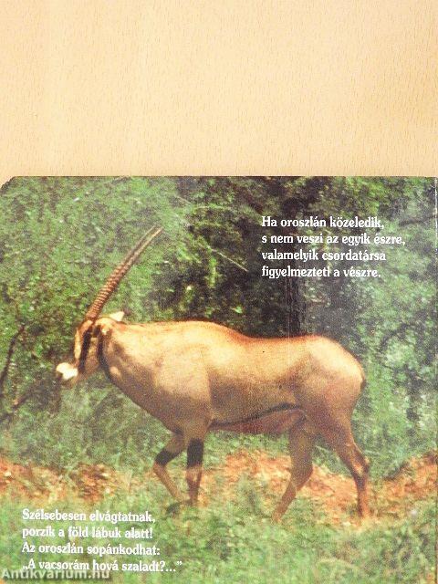 Állatkerti állatok