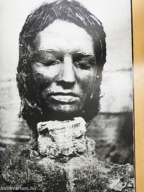 XL. Biennale di Venezia 1982