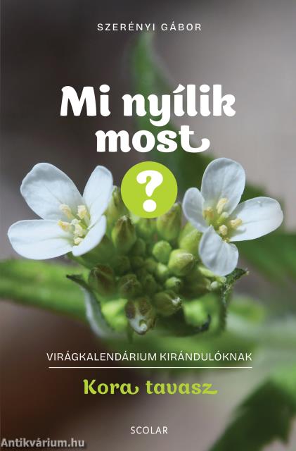 Mi nyílik most? - Kora tavasz