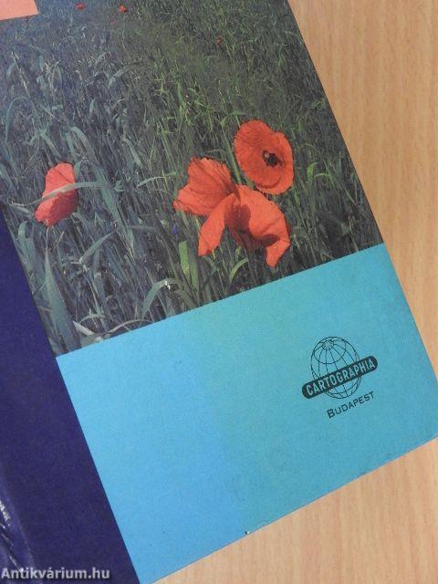 Magyarország autóatlasza