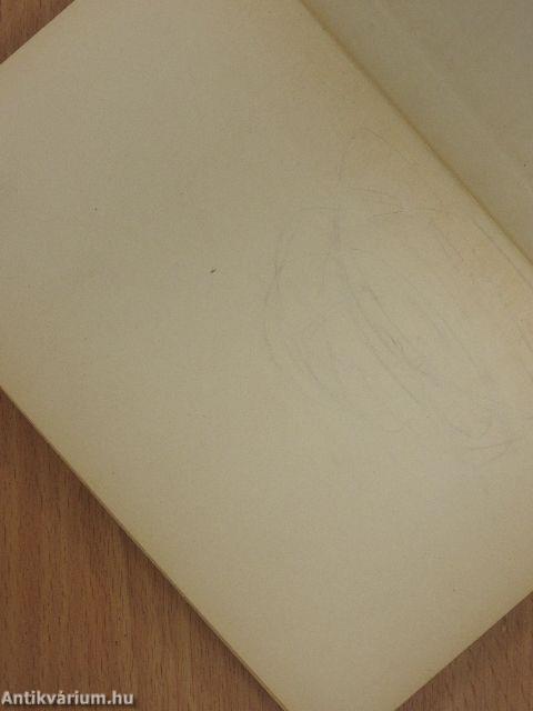 A halászó macska uccája