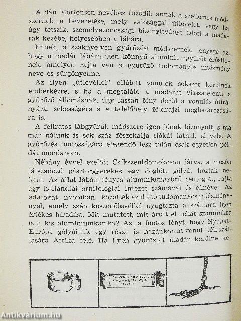 A természet kalendáriuma