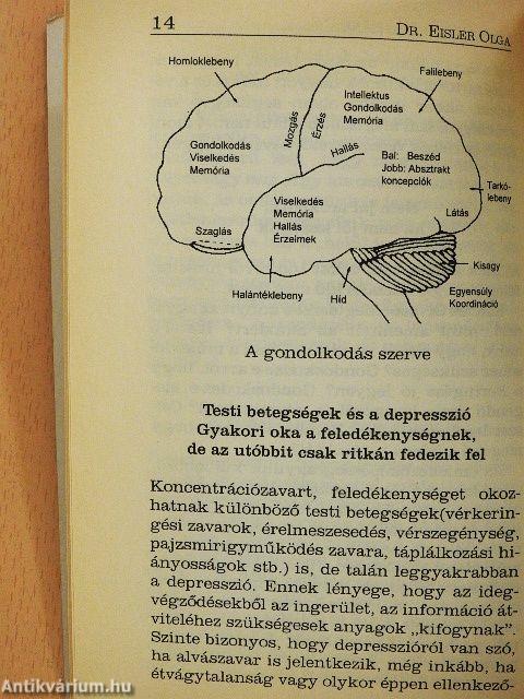 Mindennapi memóriánk