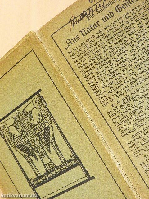 Österreichs innere Geschichte von 1848 bis 1907 I. (gótbetűs)