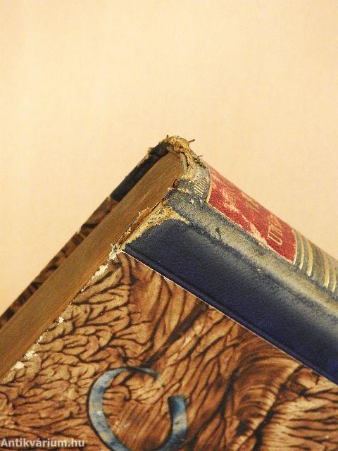 Väter und Söhne (gótbetűs)