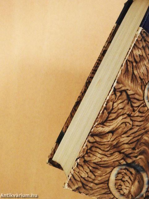 Väter und Söhne (gótbetűs)