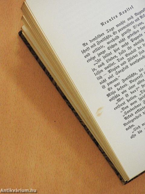 Väter und Söhne (gótbetűs)