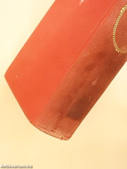 Goethe - Geschichte eines Menschen (gótbetűs)