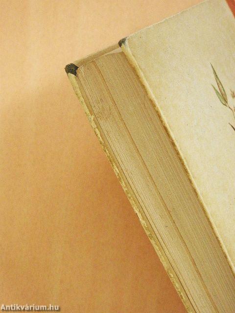 Geschichte der Musik (gótbetűs)