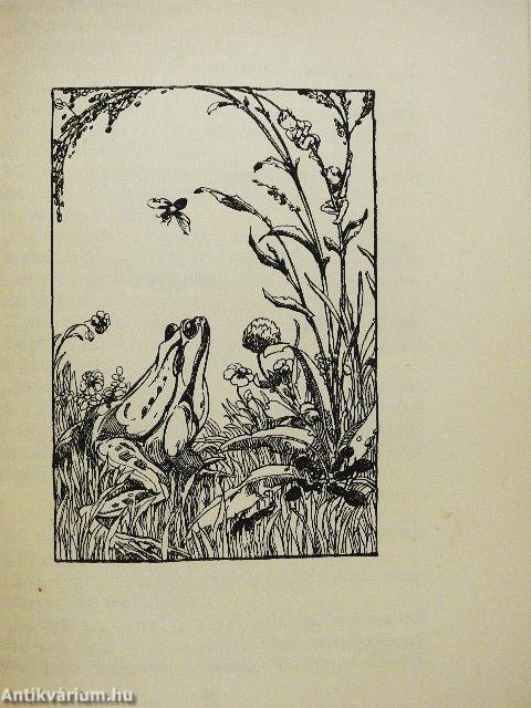 Die verkaufte Großmutter (gótbetűs)